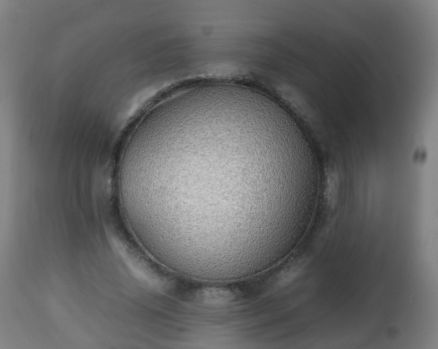 X0000112490636200908241326