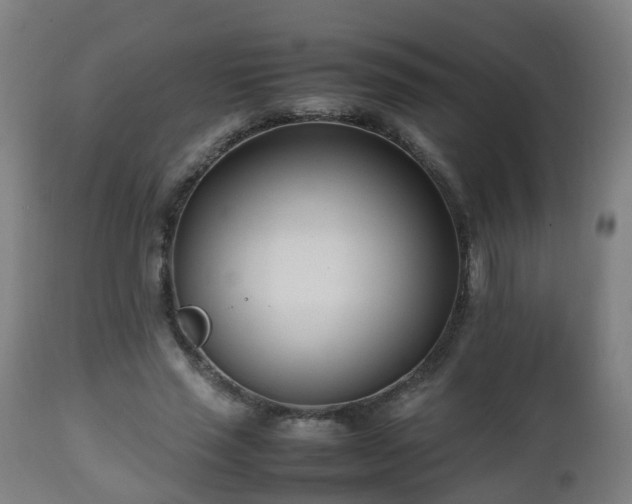 X0000112490637200908241326