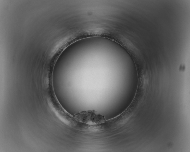 X0000112490638200908241326