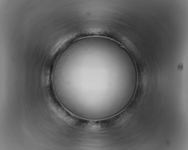 X0000112490640200908241327