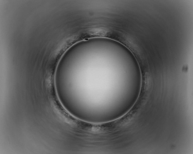 X0000112490641200908241327