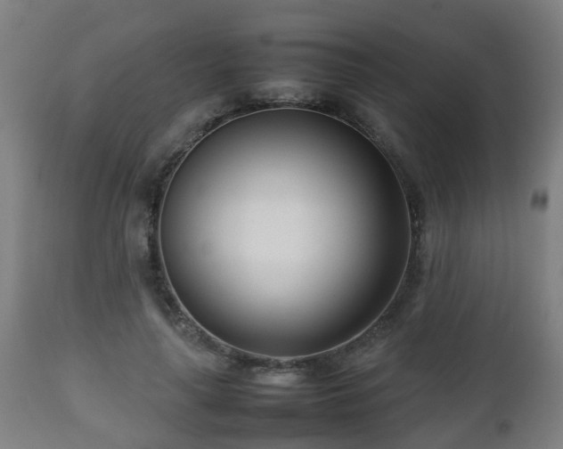 X0000112490643200908241327