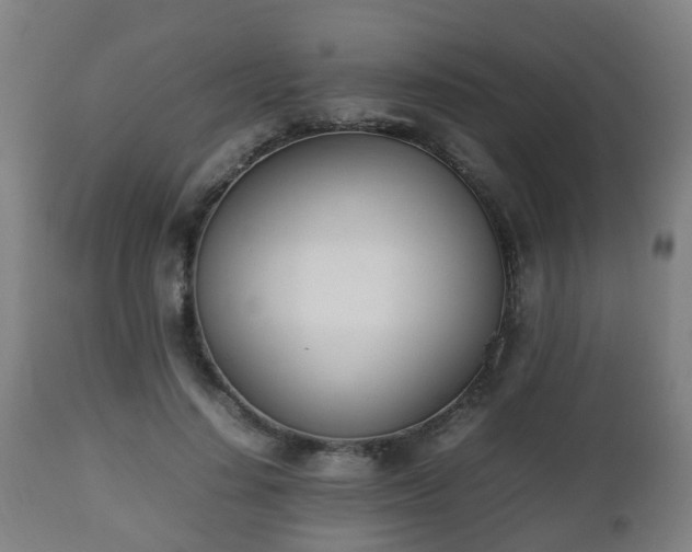 X0000112490644200908241327