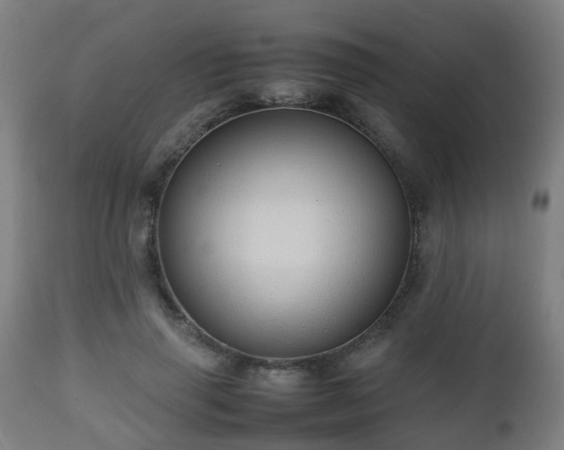 X0000112490645200908241327