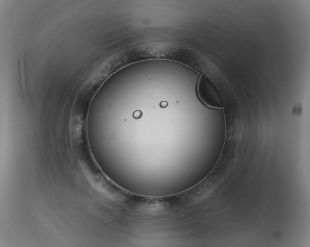 X0000112490646200908241327