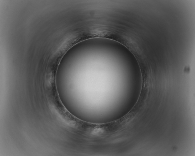 X0000112490647200908241327