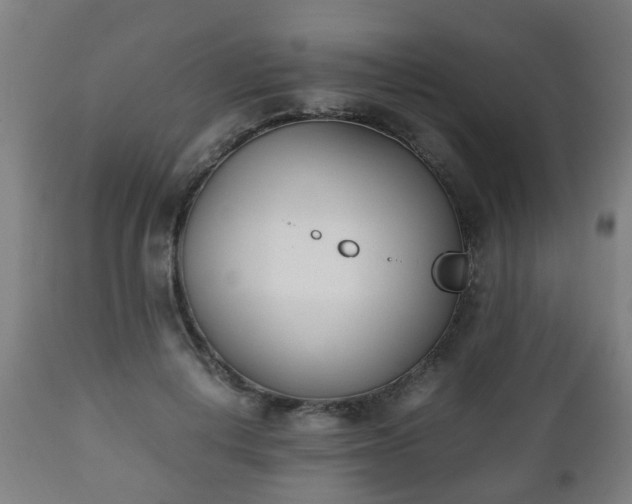 X0000112490648200908241327