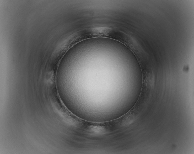 X0000112490649200908241327