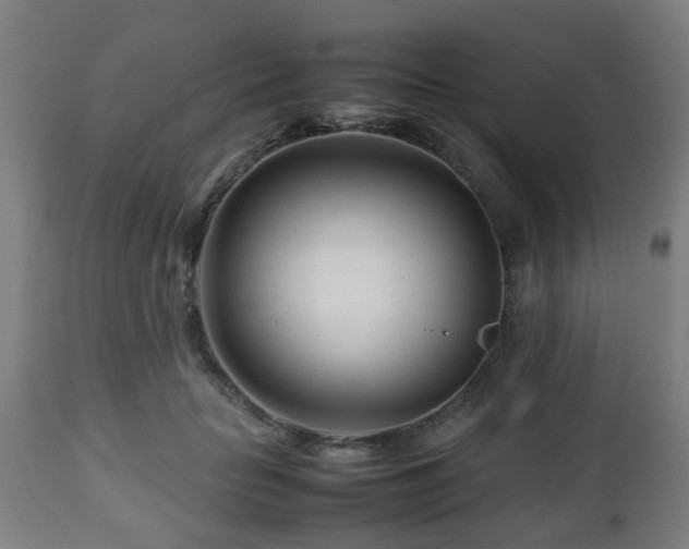 X0000112490653200908241327