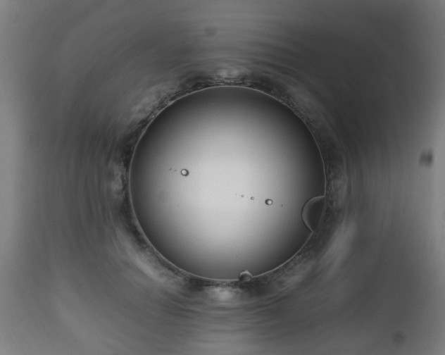 X0000112490654200908241327