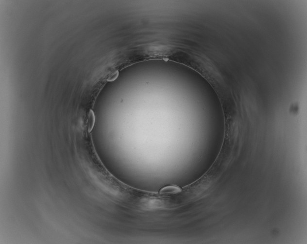 X0000112490655200908241327