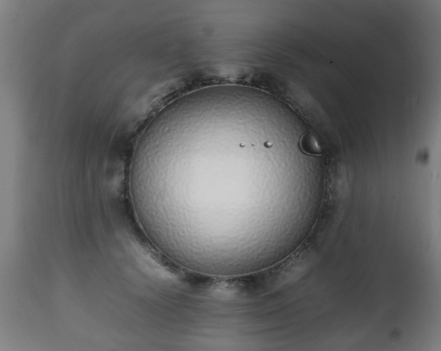 X0000112490656200908241327