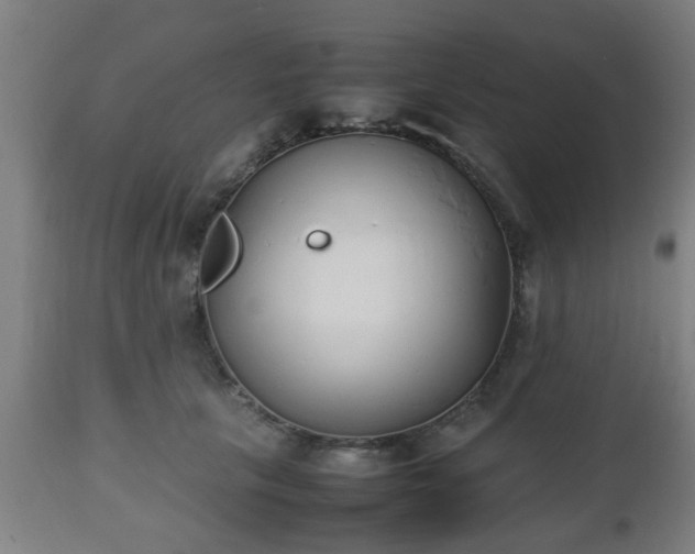 X0000112490657200908241327