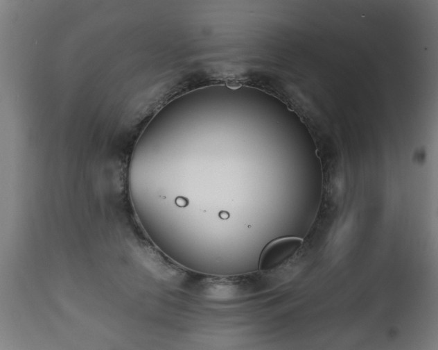 X0000112490658200908241327