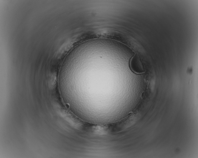 X0000112490660200908241327