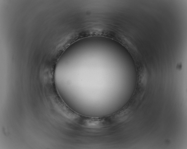 X0000112490661200908241327