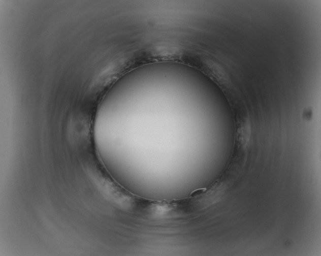 X0000112490662200908241327