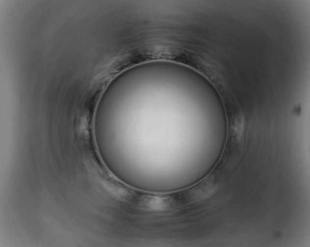 X0000112490663200908241327