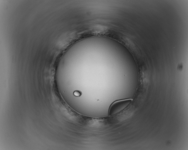 X0000112490664200908241327