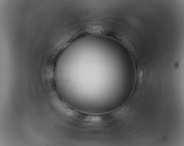 X0000112490665200908241327