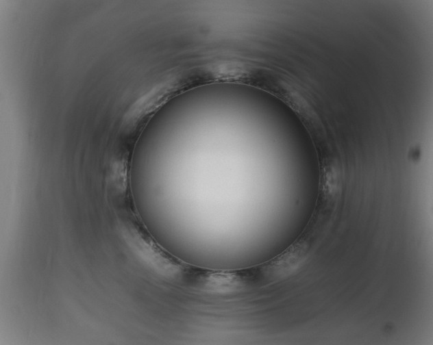 X0000112490666200908241327