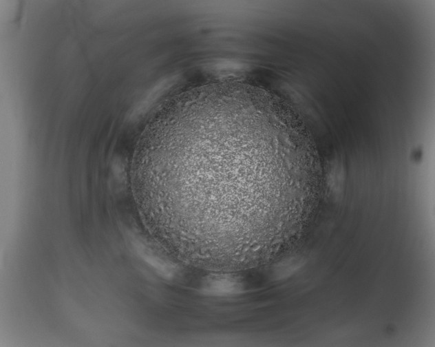 X0000112490667200908241327