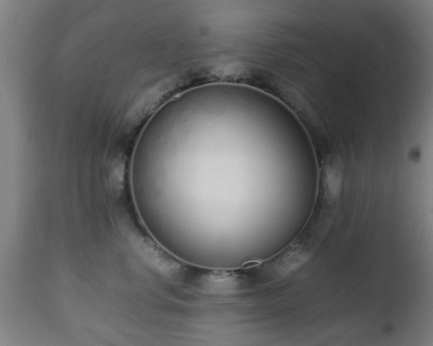 X0000112490668200908241327