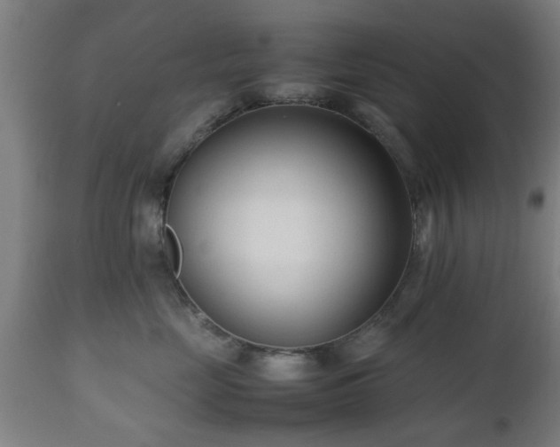 X0000112490669200908241327