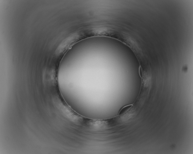 X0000112490670200908241327