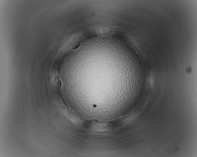 X0000112490671200908241327