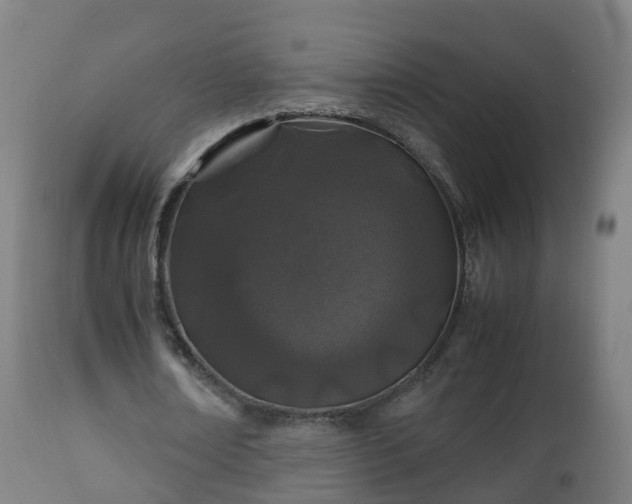 X0000112490674200908241326