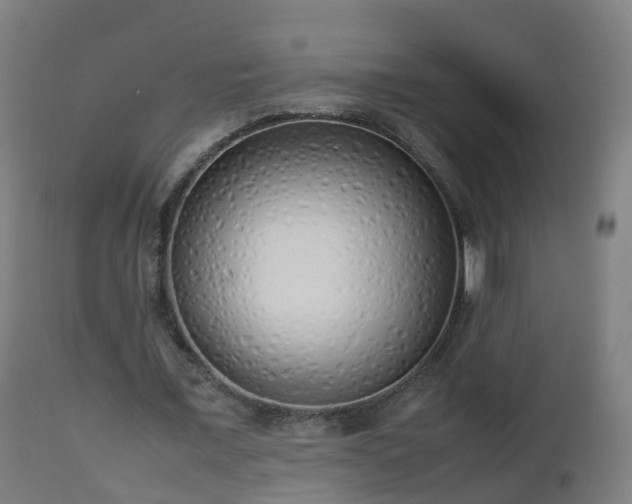 X0000112490675200908241326