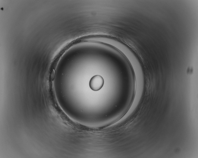 X0000112490676200908241326