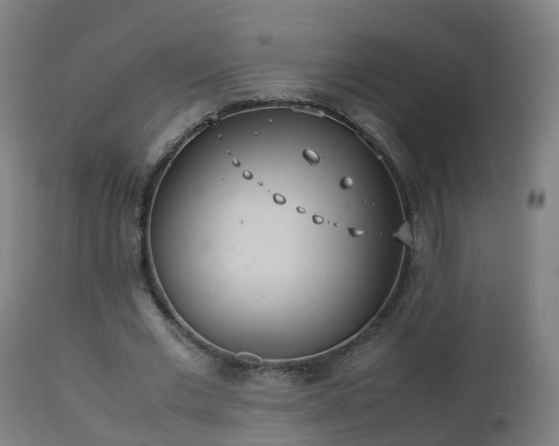 X0000112490677200908241326