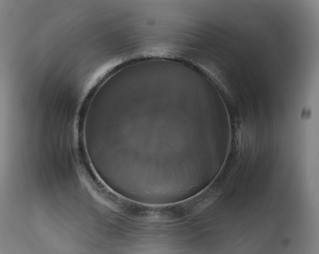 X0000112490678200908241326