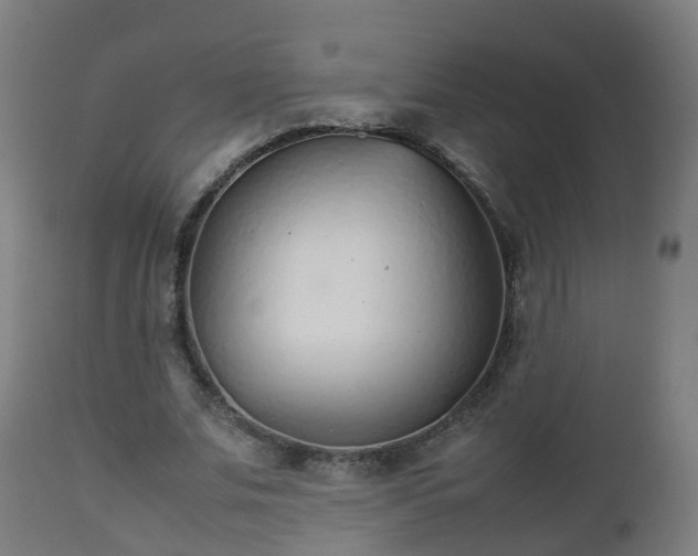 X0000112490679200908241326