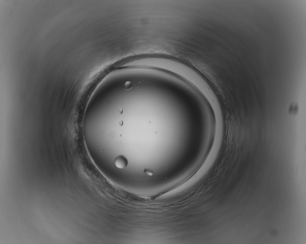 X0000112490680200908241326