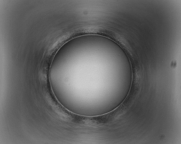 X0000112490681200908241326