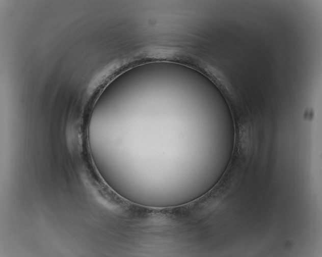 X0000112490682200908241326