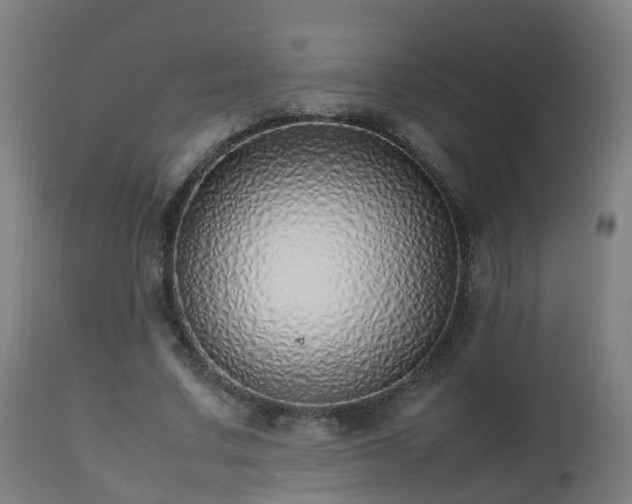 X0000112490683200908241326