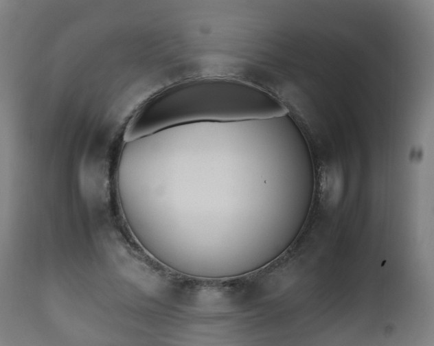 X0000112490684200908241326