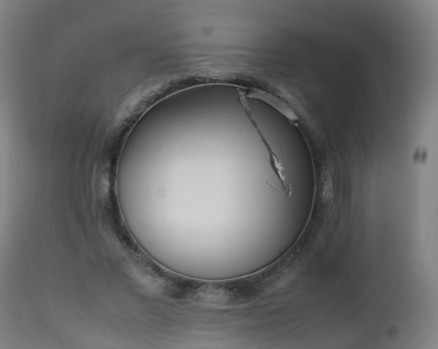 X0000112490685200908241326