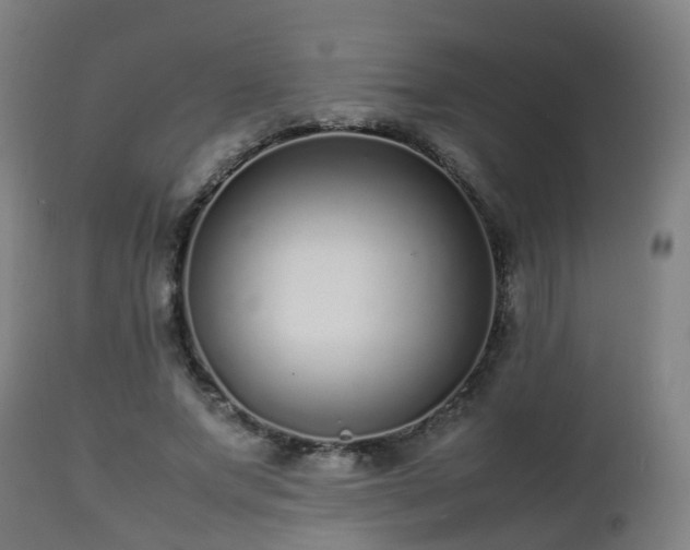 X0000112490687200908241326