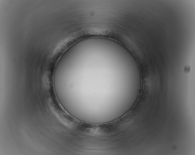 X0000112490688200908241326