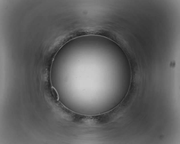 X0000112490689200908241326