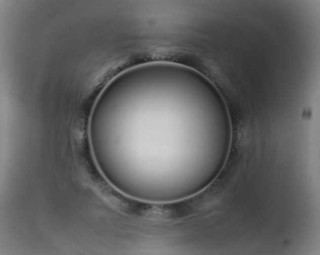 X0000112490691200908241326