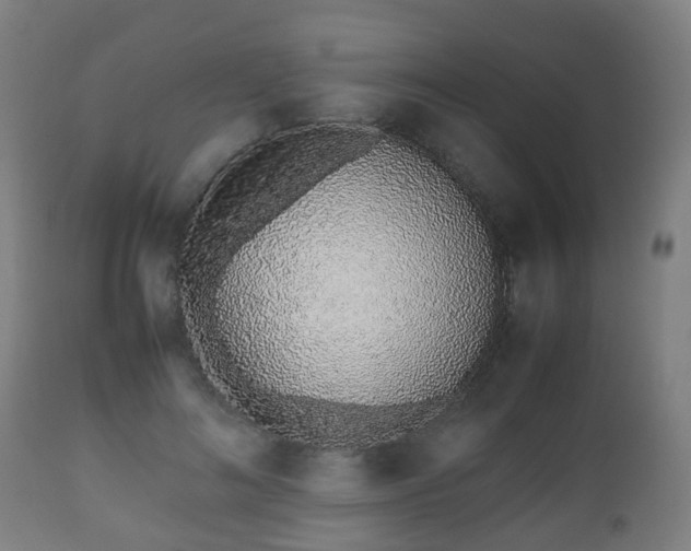 X0000112490692200908241326