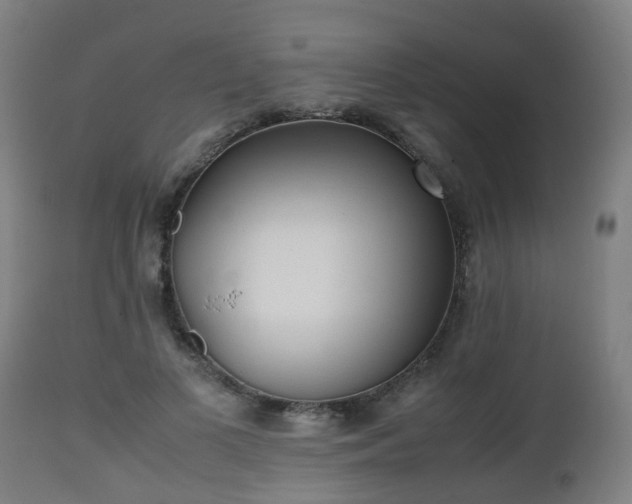 X0000112490693200908241326