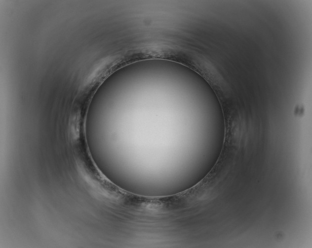 X0000112490694200908241326