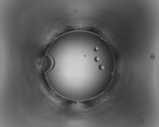 X0000112490695200908241326